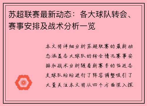 苏超联赛最新动态：各大球队转会、赛事安排及战术分析一览