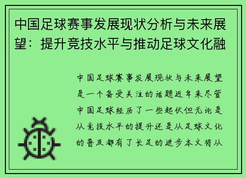 中国足球赛事发展现状分析与未来展望：提升竞技水平与推动足球文化融合