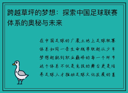 跨越草坪的梦想：探索中国足球联赛体系的奥秘与未来
