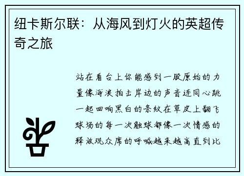 纽卡斯尔联：从海风到灯火的英超传奇之旅